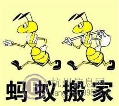 杭州蚂蚁搬家公司搬家搬厂服务公司电话